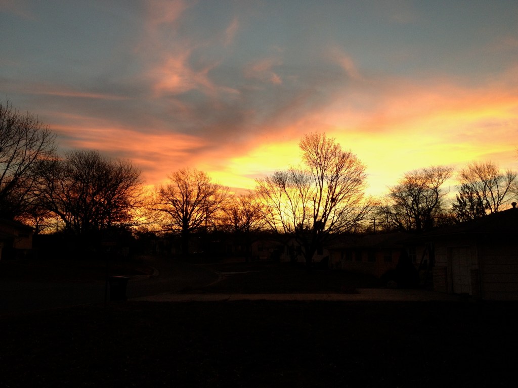 Brilliant, colorful sunset behind leaf-less trees in winter